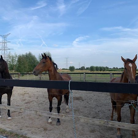 B&B A'Laise Zedelgem Buitenkant foto