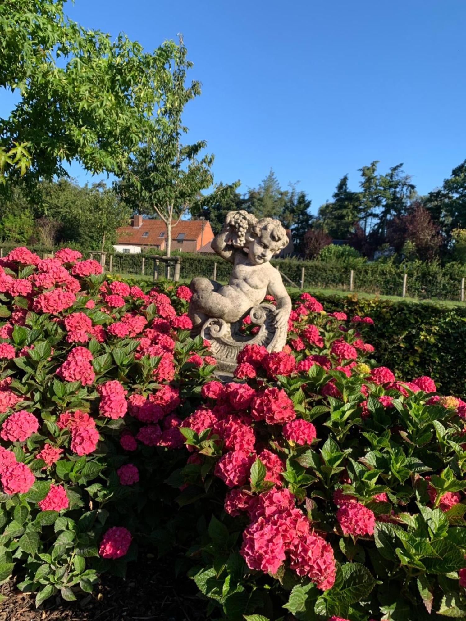 B&B A'Laise Zedelgem Buitenkant foto